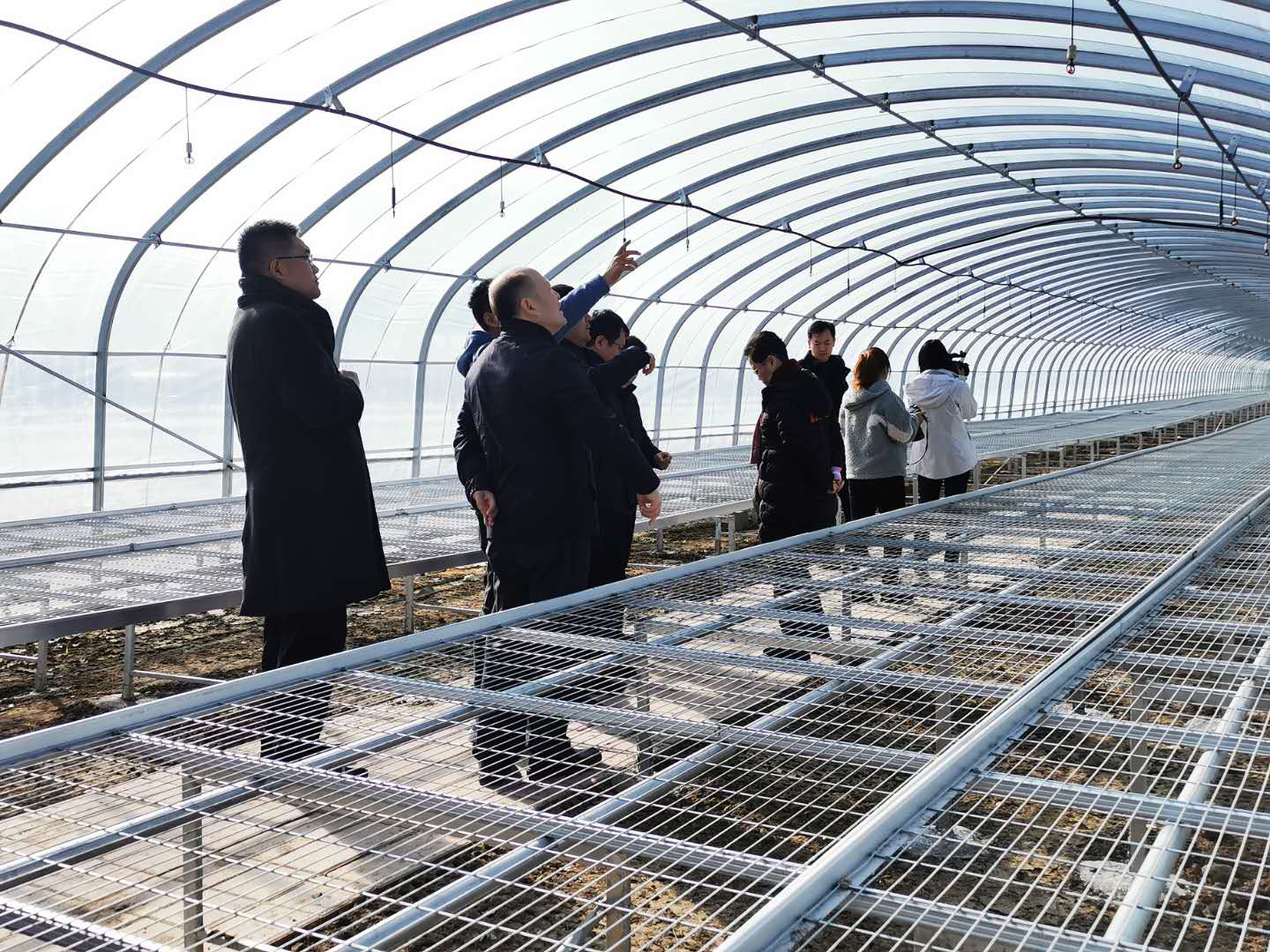 老虎机网站