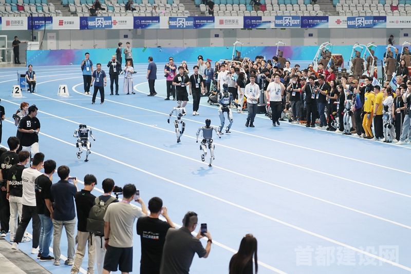 老虎机网站